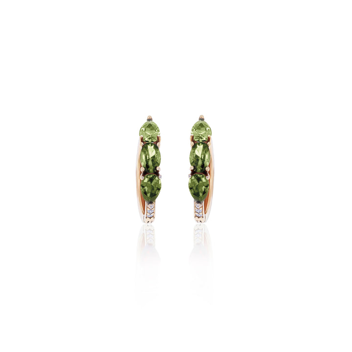 Hoop Birthstone Earrings- ER02