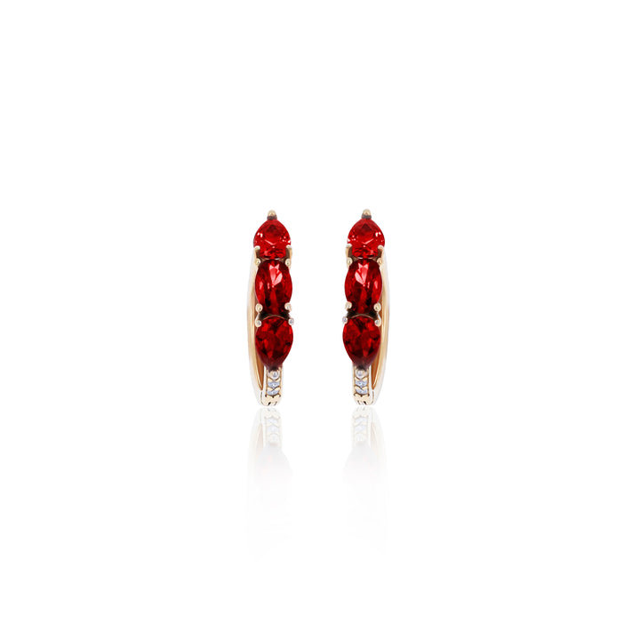 Hoop Birthstone Earrings- ER02