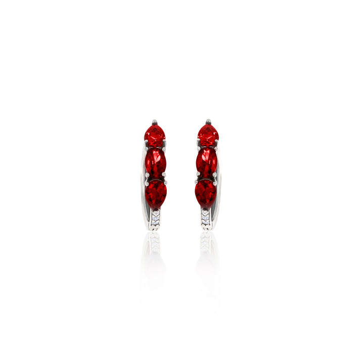 Hoop Birthstone Earrings- ER02