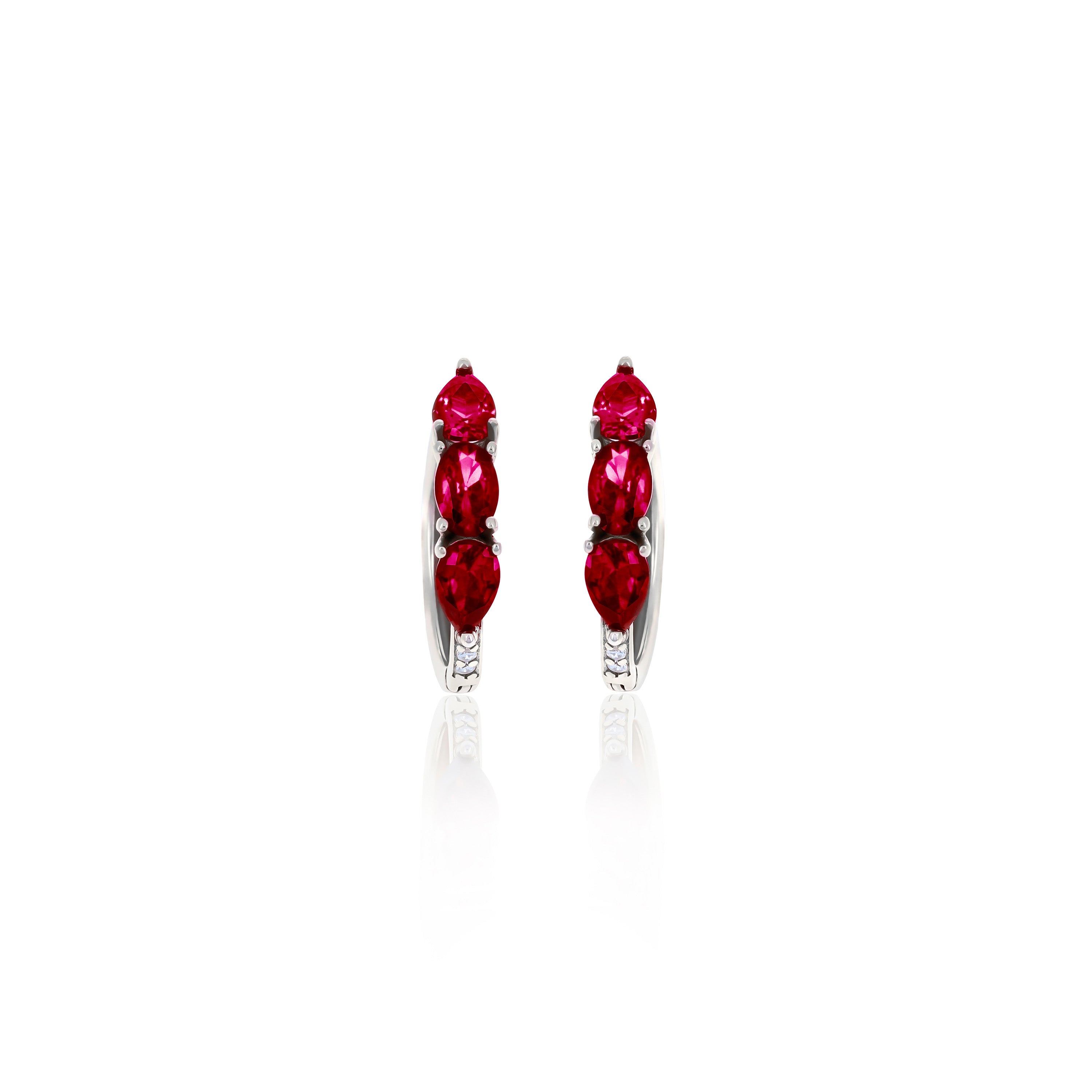 Hoop Birthstone Earrings- ER02