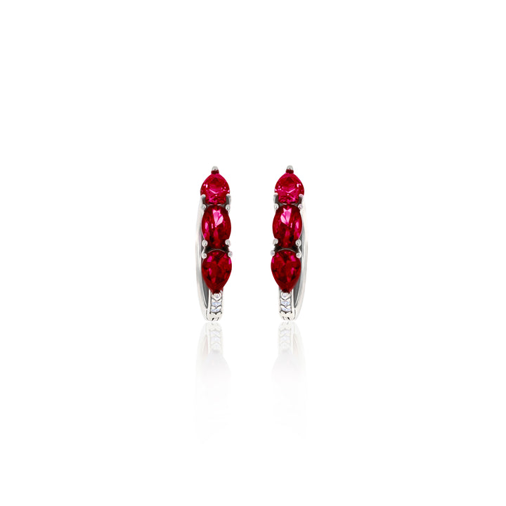 Hoop Birthstone Earrings- ER02