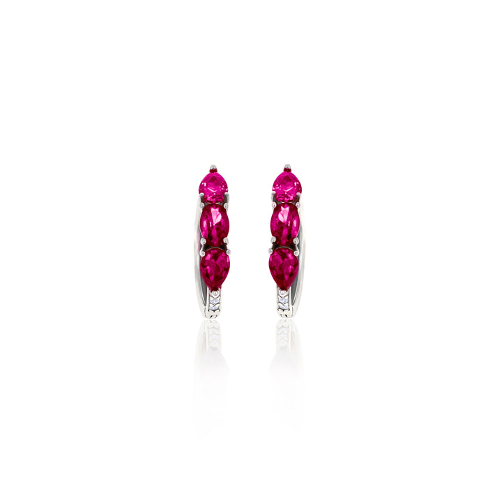 Hoop Birthstone Earrings- ER02