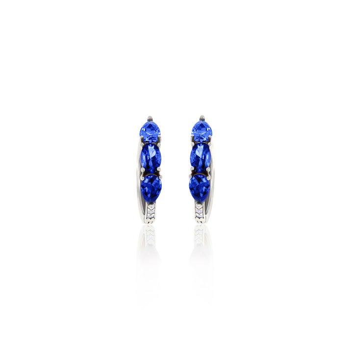Hoop Birthstone Earrings- ER02