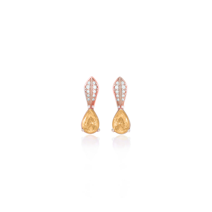Drop Birthstone Earrings- ER30