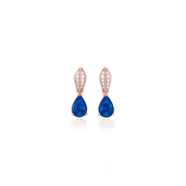 Drop Birthstone Earrings- ER30