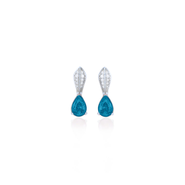 Drop Birthstone Earrings- ER30