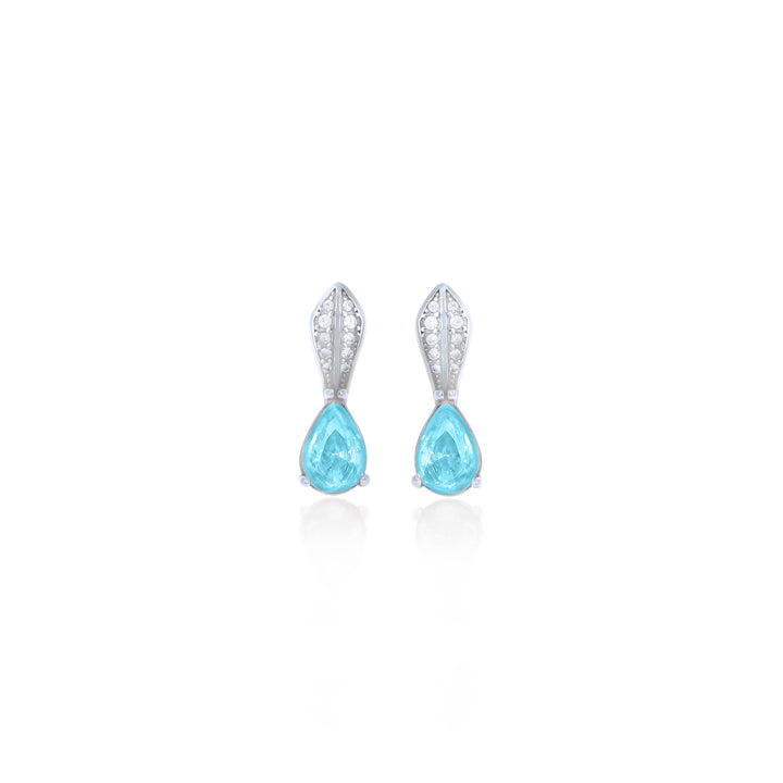 Drop Birthstone Earrings- ER30