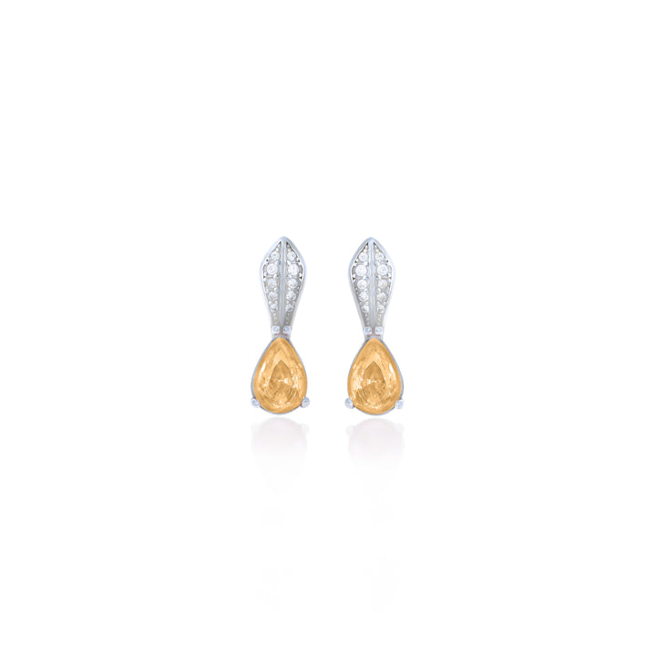 Drop Birthstone Earrings- ER30