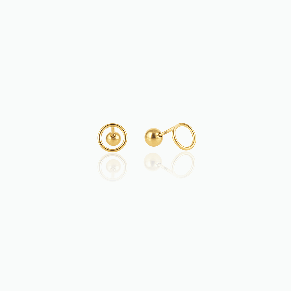 Pair of gold earrings on a white background