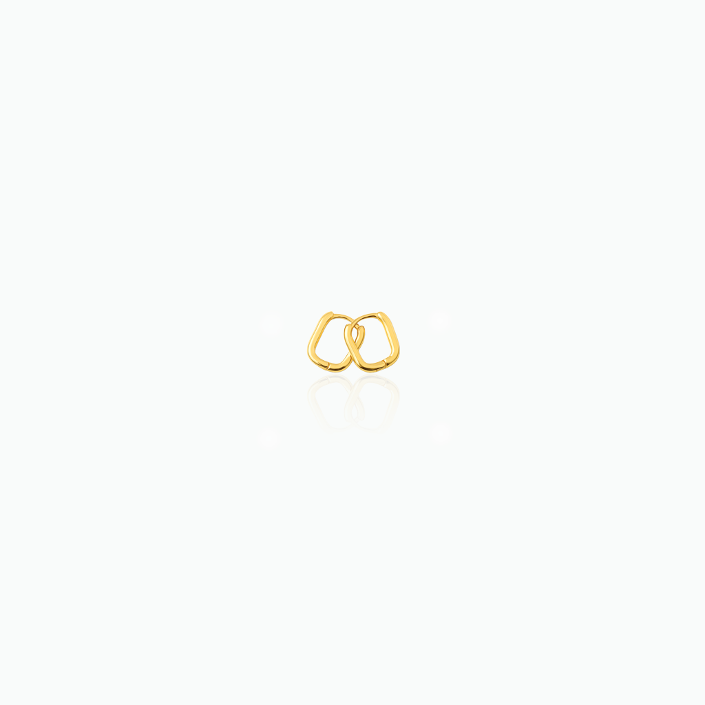 Pair of gold earrings on a white background