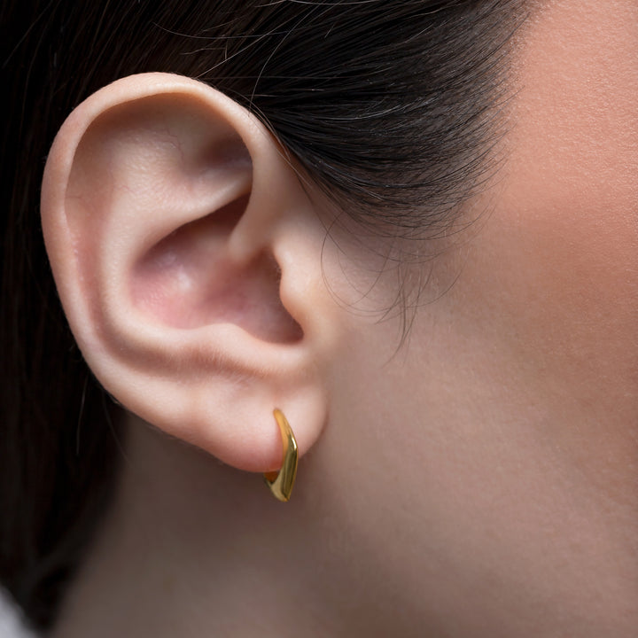 Elegant & Lightweight Hook Earrings- S025