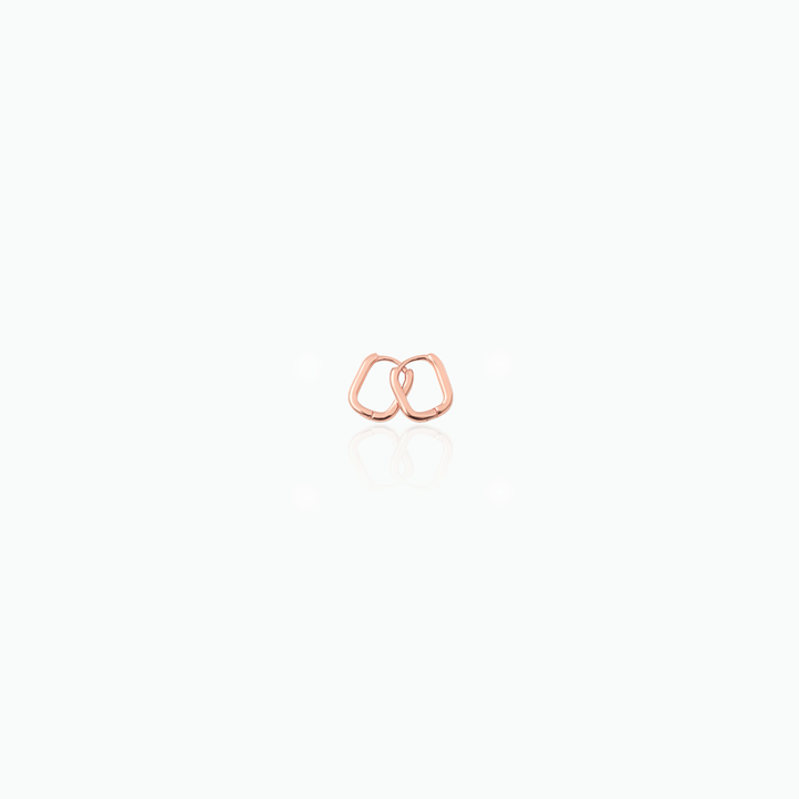 Pair of  rose gold earrings on a white background