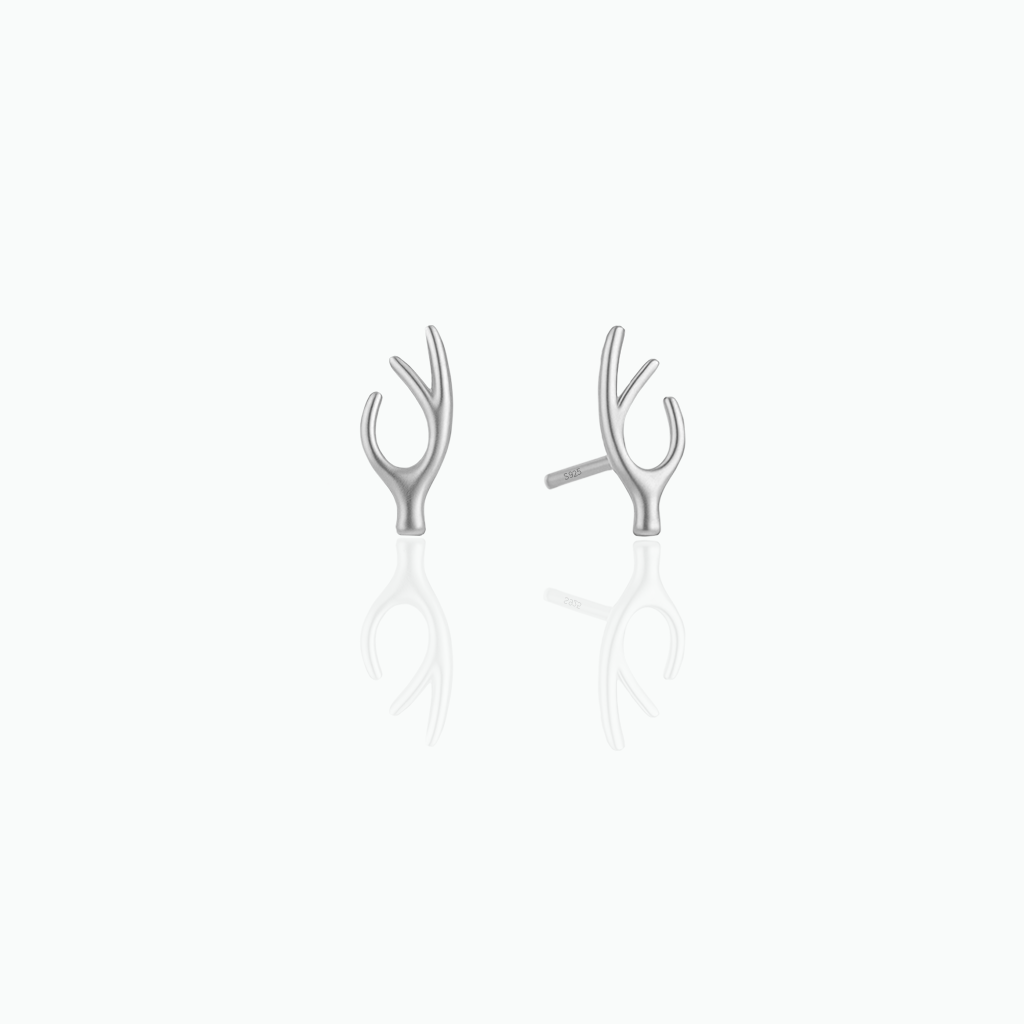 Silver earrings on a white background