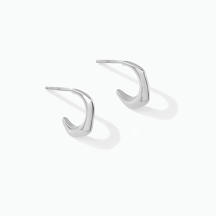 Elegant & Lightweight Hook Earrings- S025