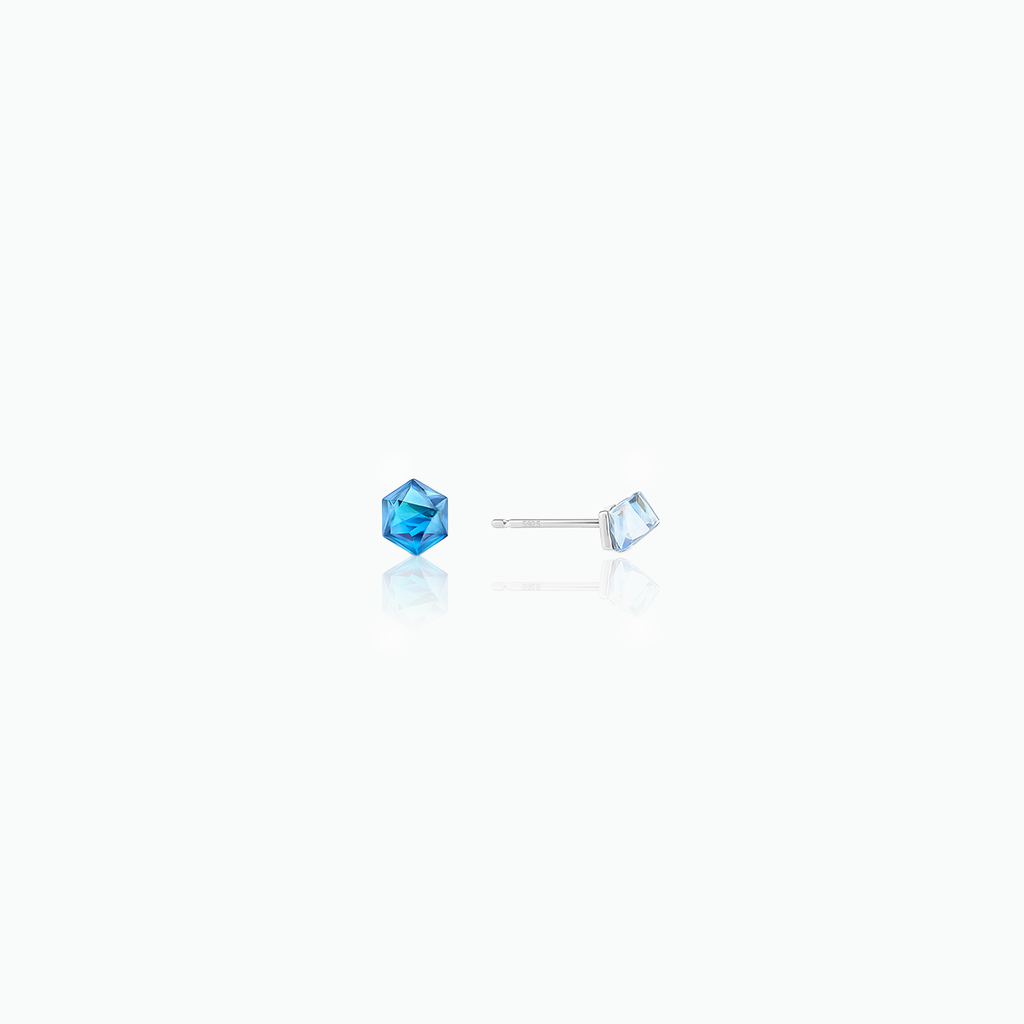 Pair of blue gemstone stud earrings on a white background