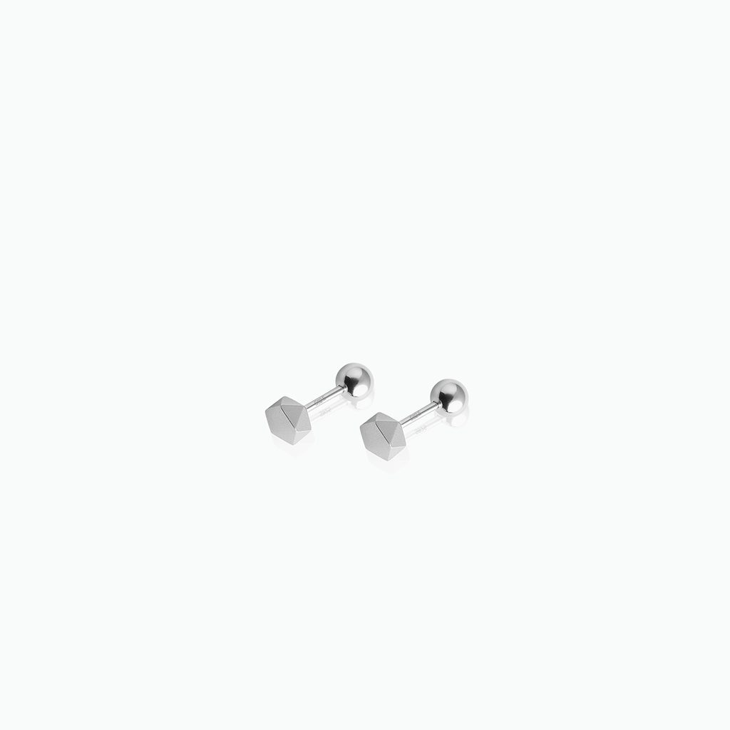Pair of silver hexagonal stud earrings on a white background