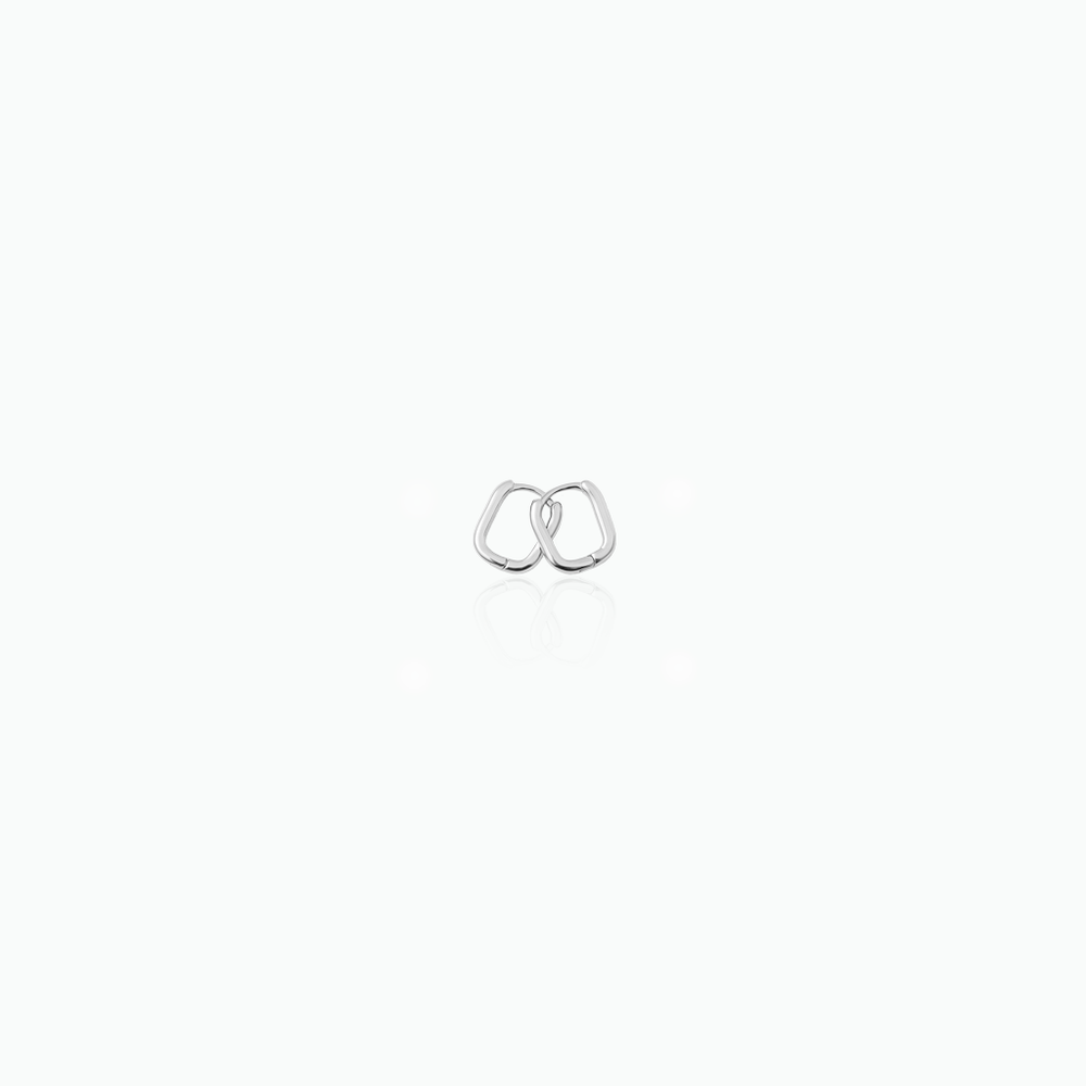 Pair of silver earrings on a white background