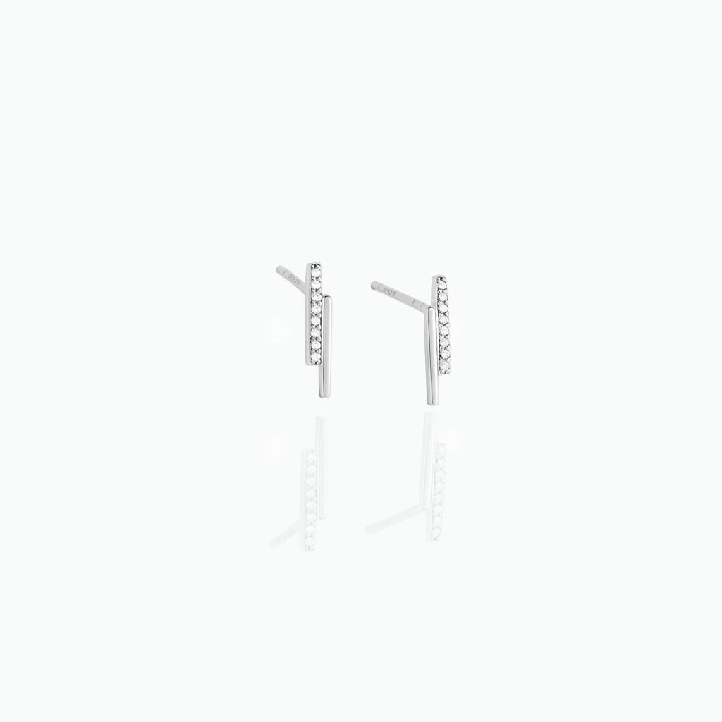 Pair of silver earrings on a white background