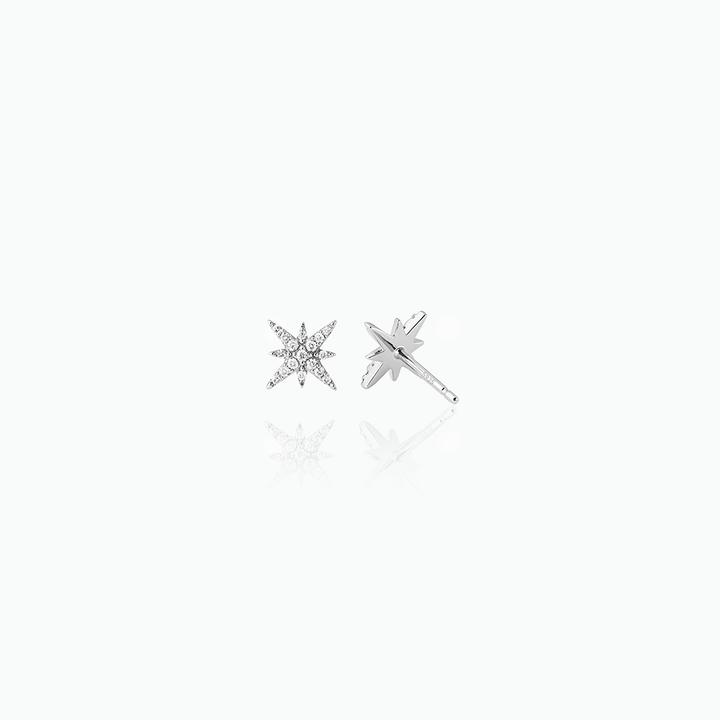 Pair of star-shaped earrings on a white background