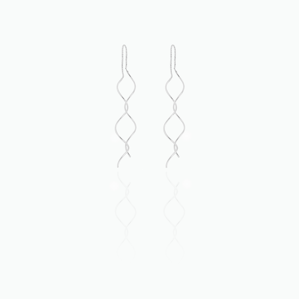 Pair of silver earrings on a white background