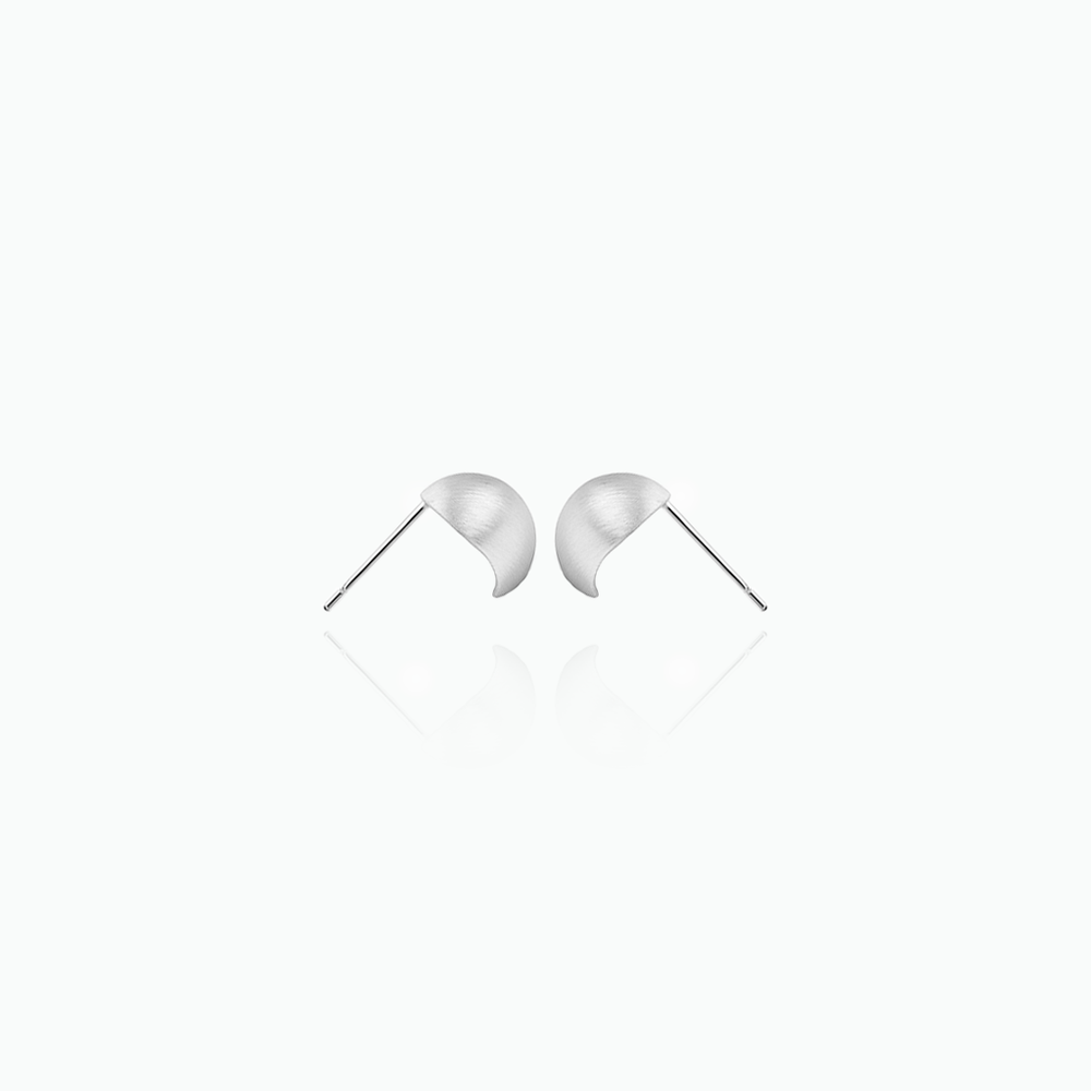 Pair of silver earrings on a white background