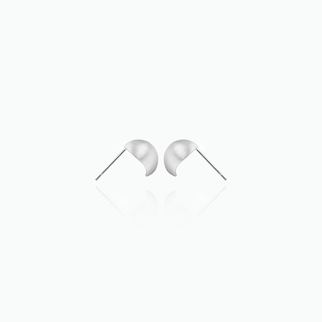 Pair of silver earrings on a white background