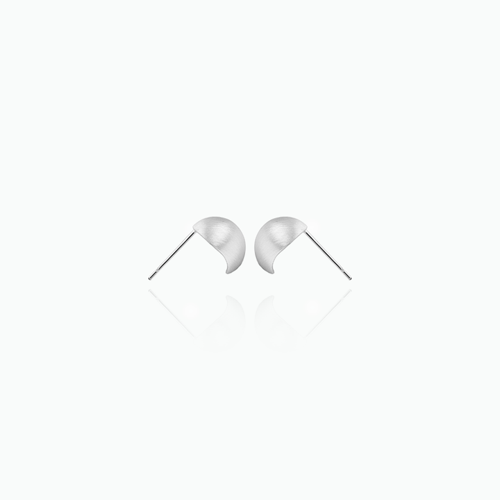 Pair of silver earrings on a white background