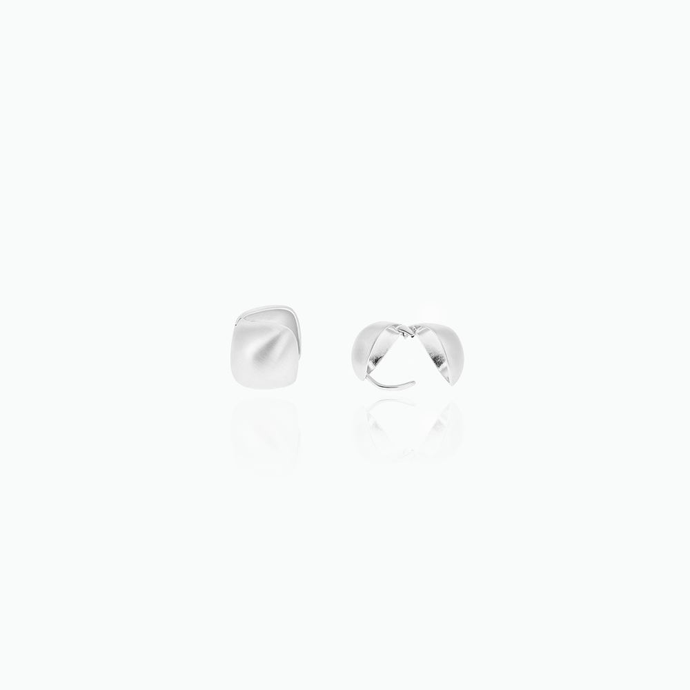Pair of silver earrings on a white background